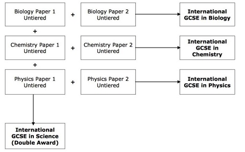 IGCSE科学辅导大纲解析